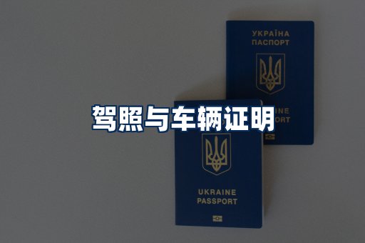 车辆证明展示